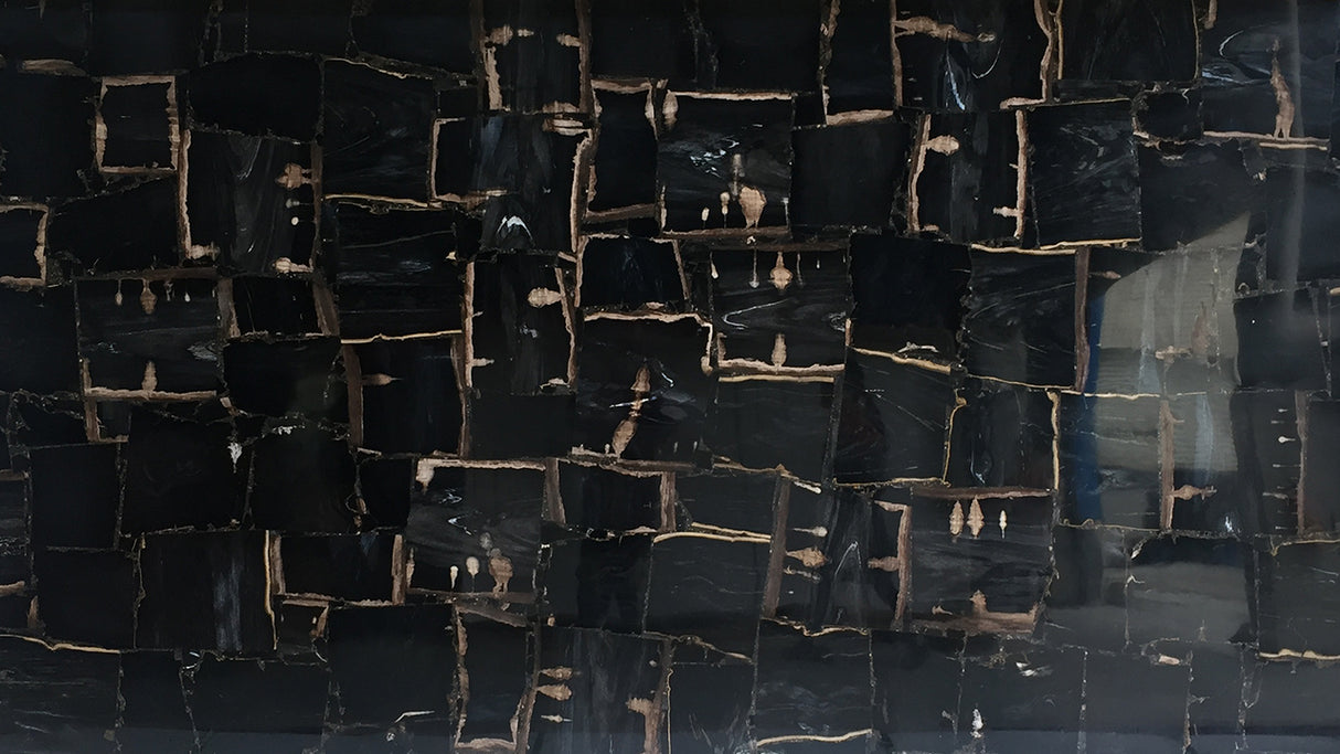 Petrified Wood (Dark)