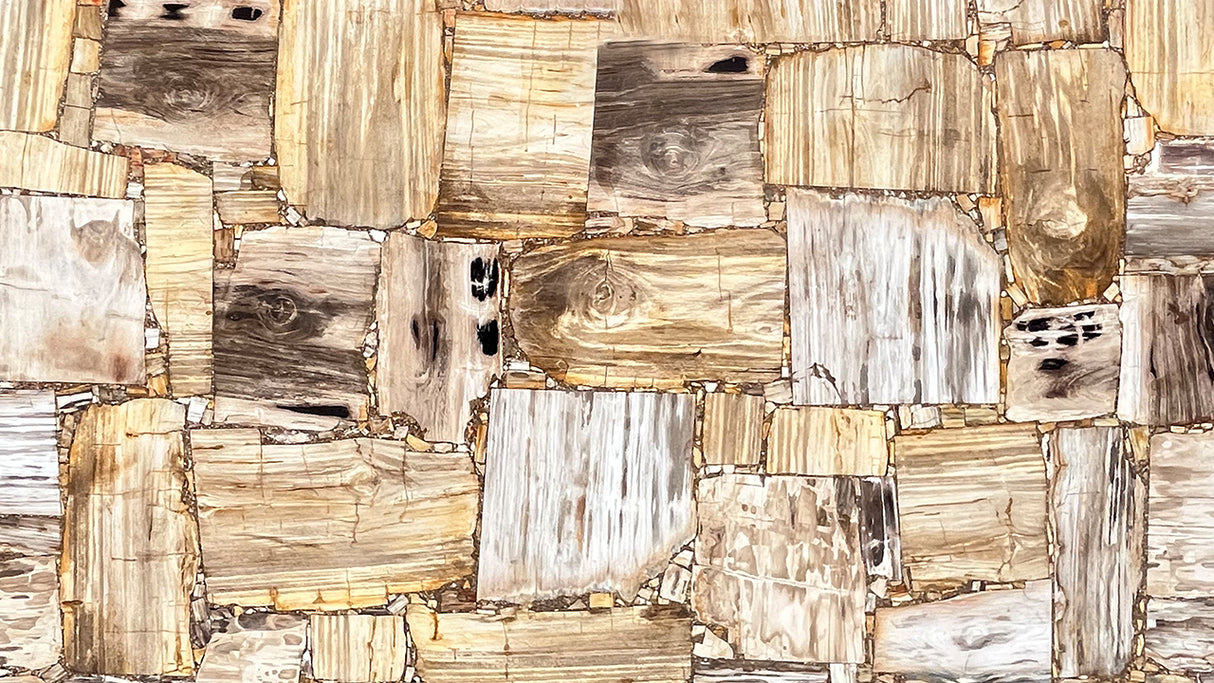 Petrified Wood (Light)