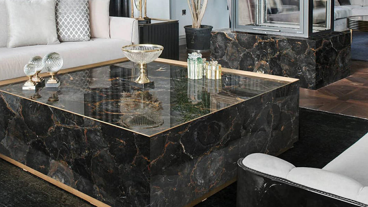 Black Petrified Wood