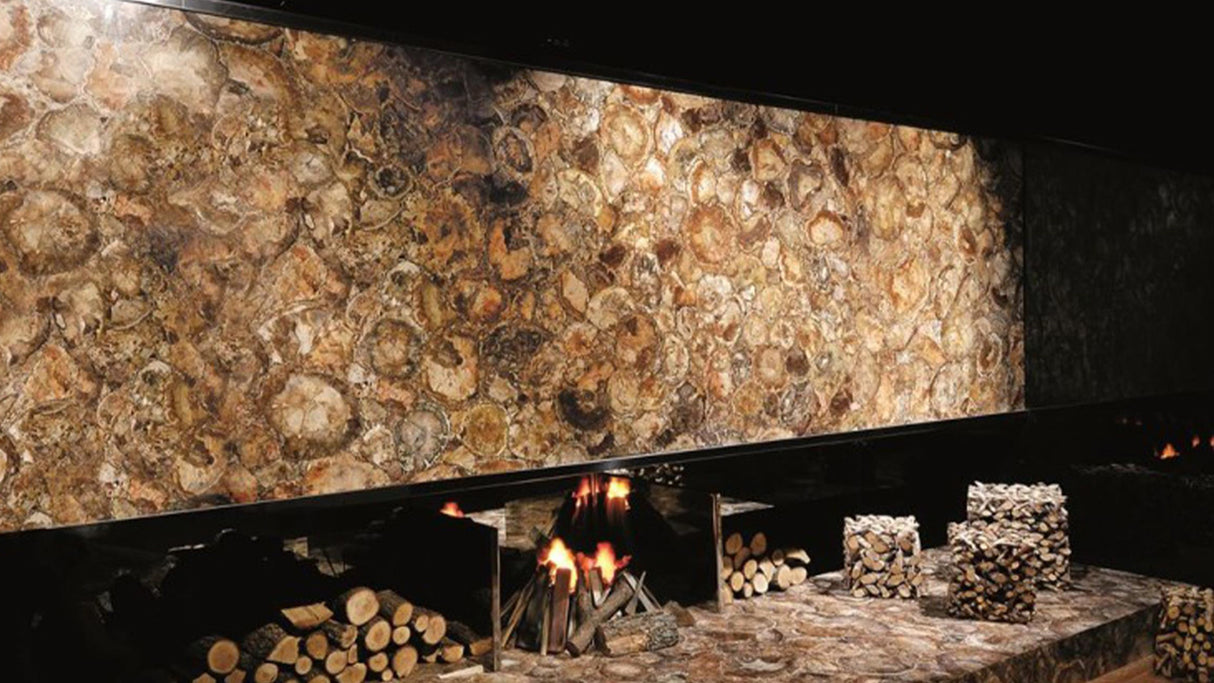 Round Petrified Wood