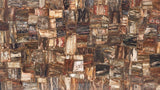 Petrified Wood