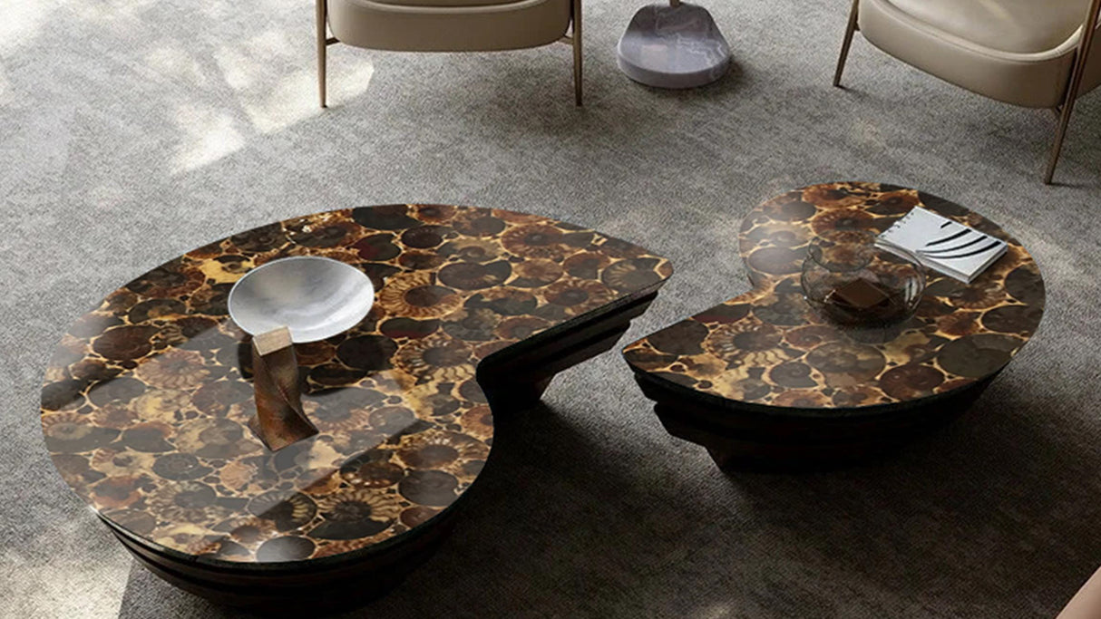 Ammonite