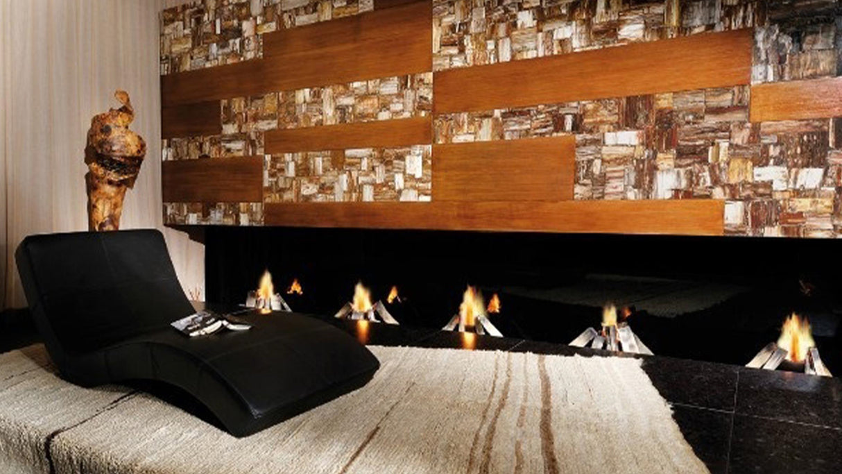 Petrified Wood